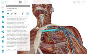human anatomy atlas 2018 for mac